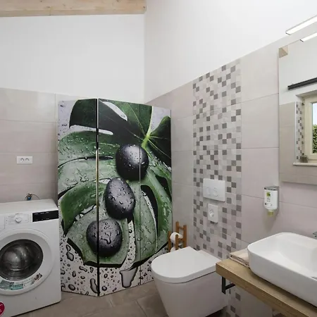 Matea Mit Privatem Pool By Interhome Marčana
